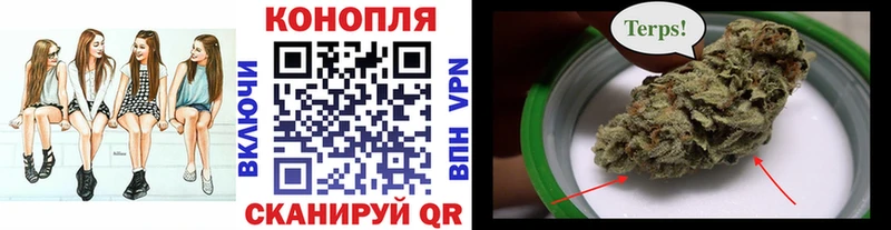 где продают Нефтегорск Каннабис тримм